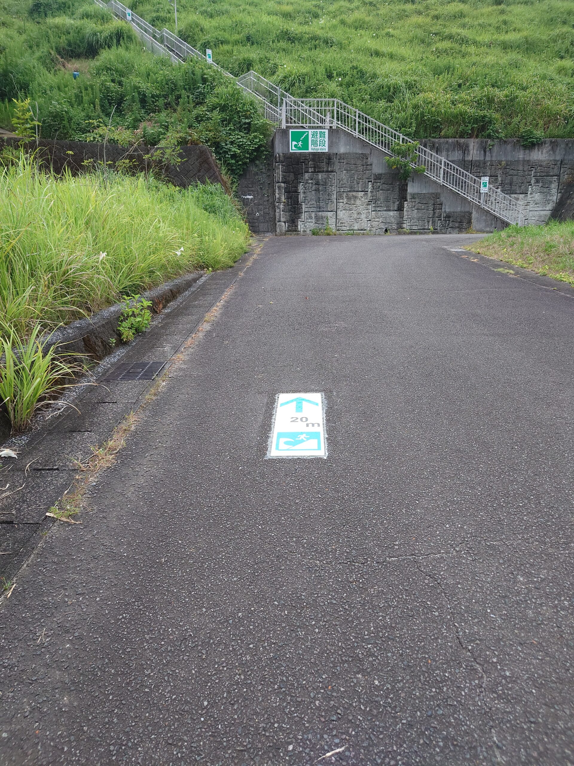 8/13 NHK NEWSWEBでRM蓄光シートによる避難誘導標識が紹介されました